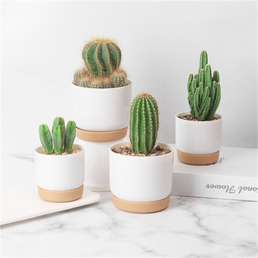 Echeveria Succulent - Круглые горшки для суккулентов и кактусов,