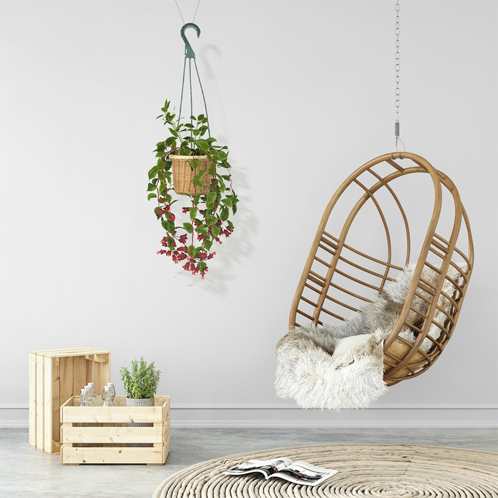 Набор из 5 подвесных крючков д – обзор и цена Spider Plant Hanging