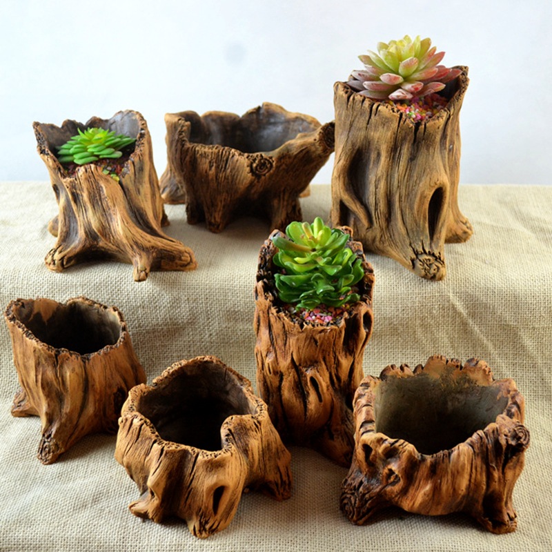 Имитация деревянных кольев, ко – обзор и цена Echeveria Succulent