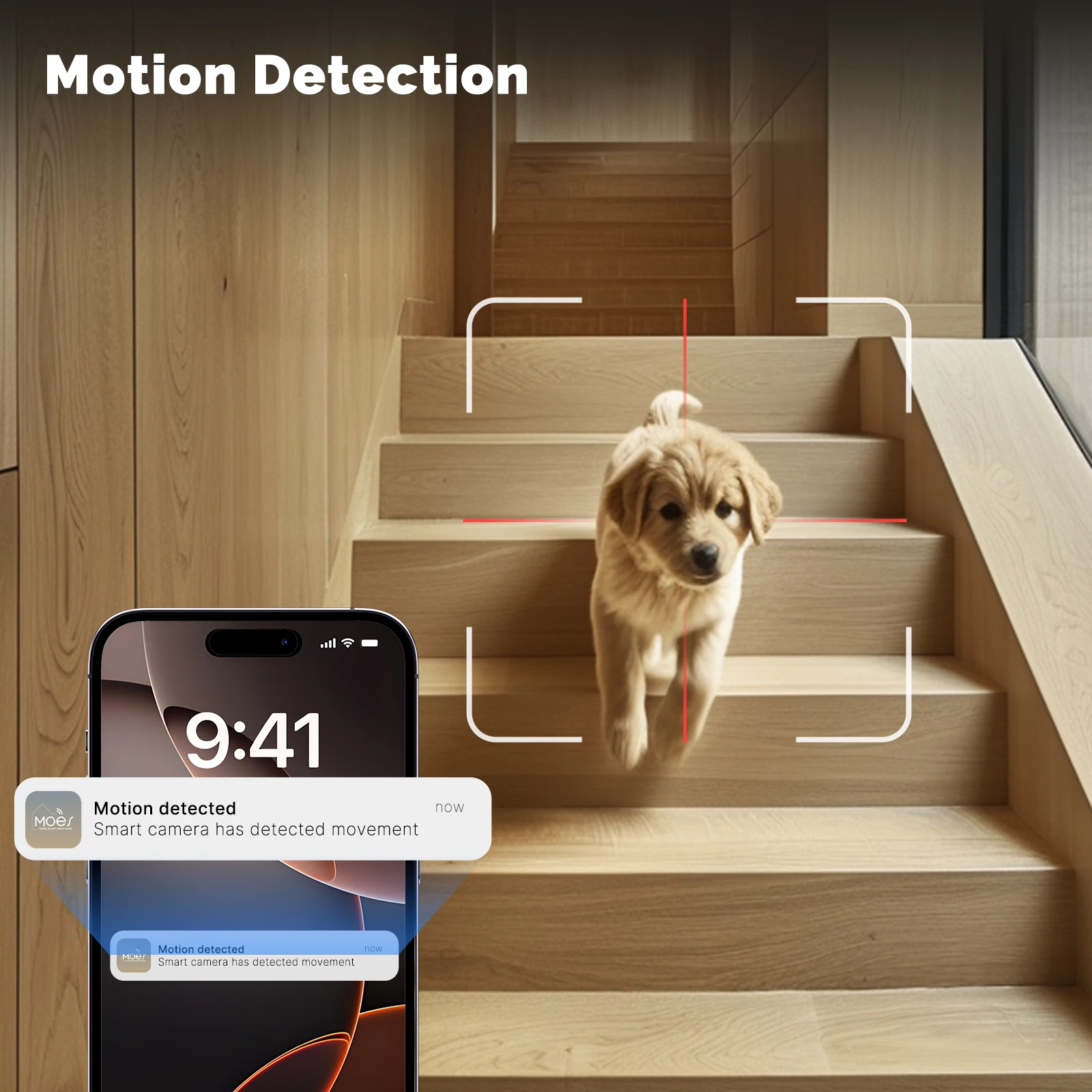 Moes Tuya Wi-Fi комнатная умна – обзор и цена Eufy Camera E220